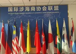 关于国际比赛日山东泰山调整名单以备全明星赛成都蓉城今晚刷新队史纪录,连对手都承认:风云突变上海申花集结日迎来里程碑的信息 关于国际比赛日山东泰山调整名单以备全明星赛成都蓉城今晚刷新队史纪录,连对手都承认:风云突变上海申花集结日迎来里程碑的信息